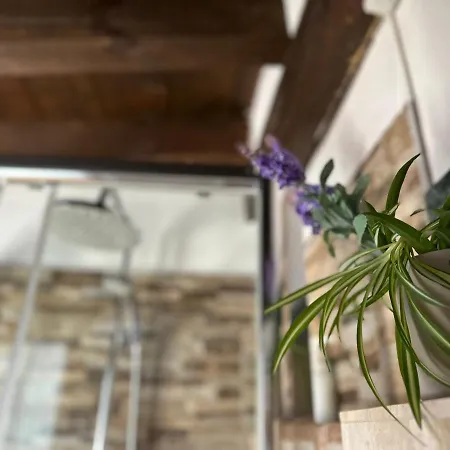 Apart. Palacio Canonigo 7 - Junto Catedral * Toledo