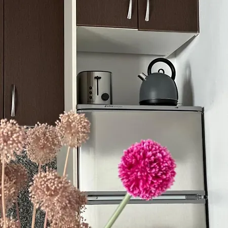 Apartmán Apart. Palacio Canonigo 7 - Junto Catedral *