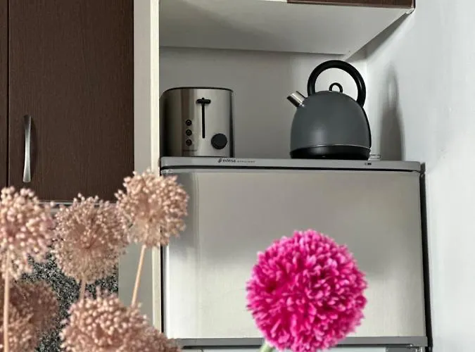 Appartamento Apart. Palacio Canonigo 7 - Junto Catedral *