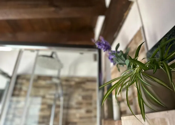 Apart. Palacio Canonigo 7 - Junto Catedral * 托萊多